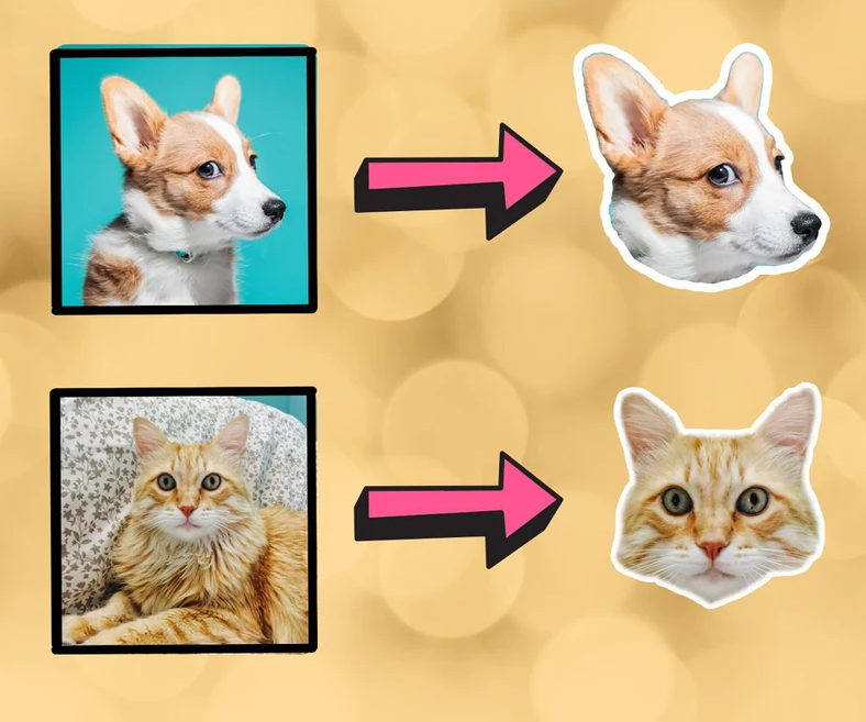 3x Personalisierter Aufkleber für Ihr Haustier