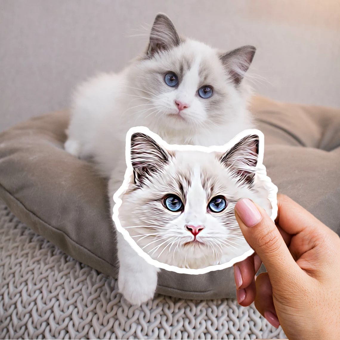 3x autocolante personalizado para o seu animal de estimação